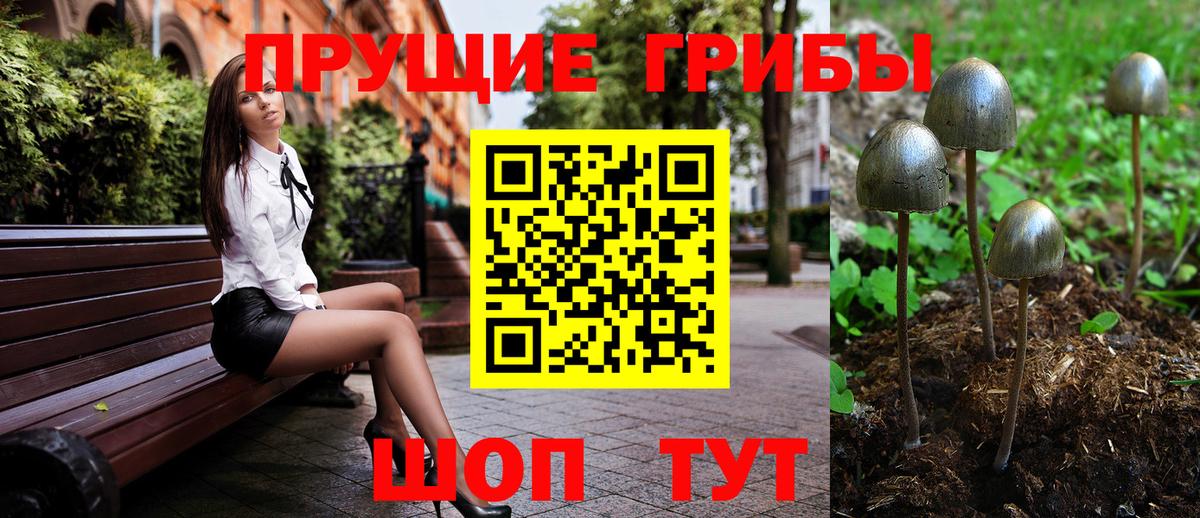 Галлюциногенные грибы GOLDEN TEACHER Красногорск